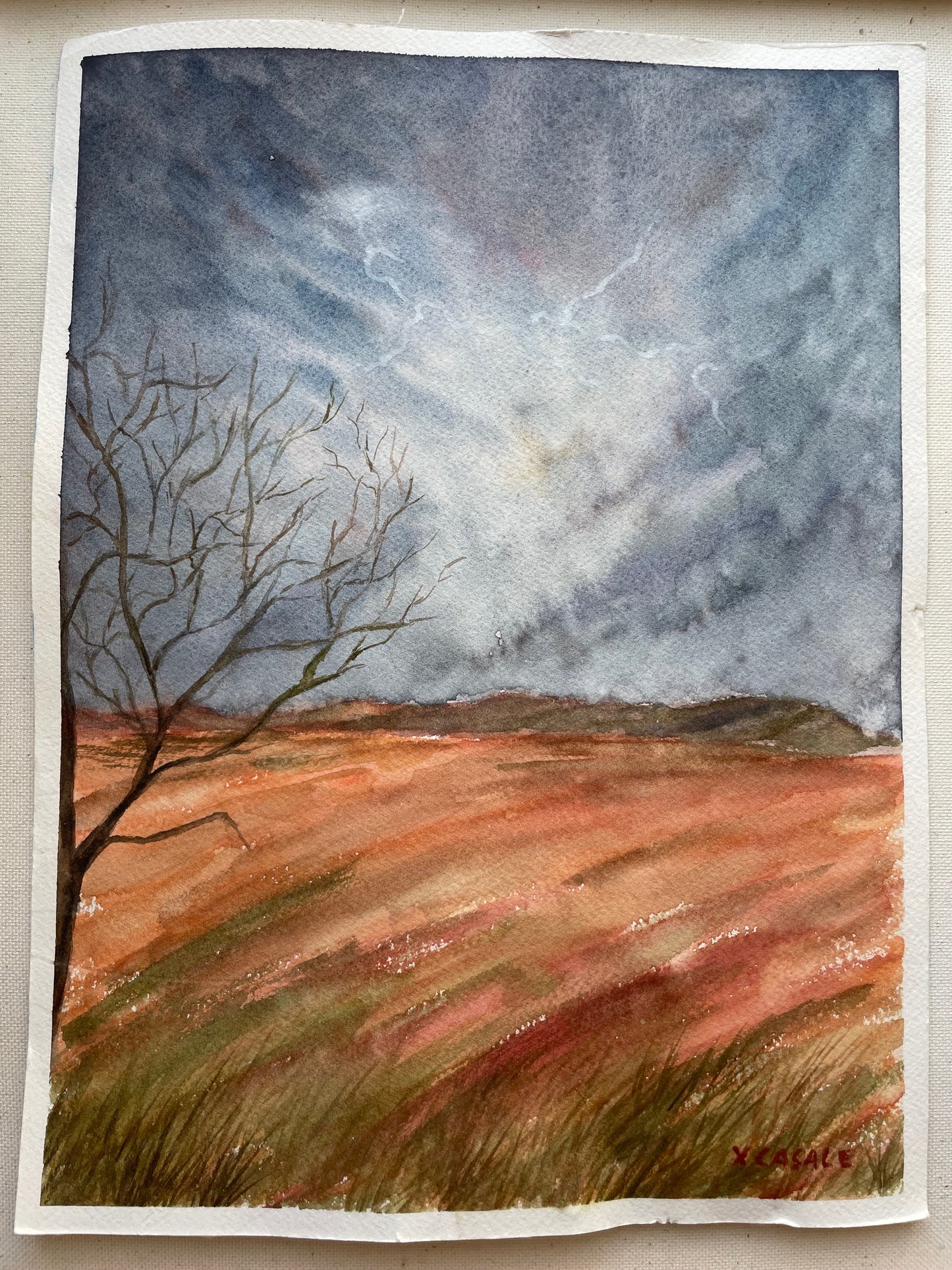 Thunderstorm In the Field Original Watercolor Painting